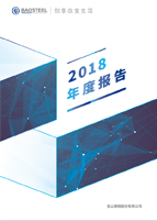 2018年度報告