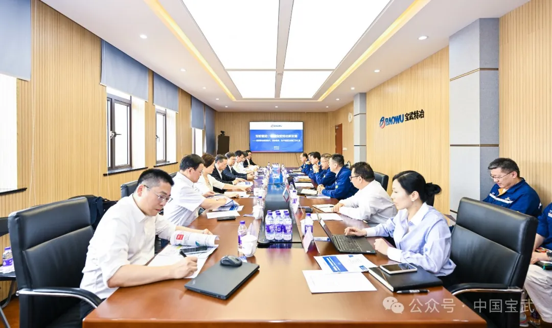 胡望明调研宝武特冶并召开现场办公会：加快关键材料研发，助力国家高水平科技自立自强